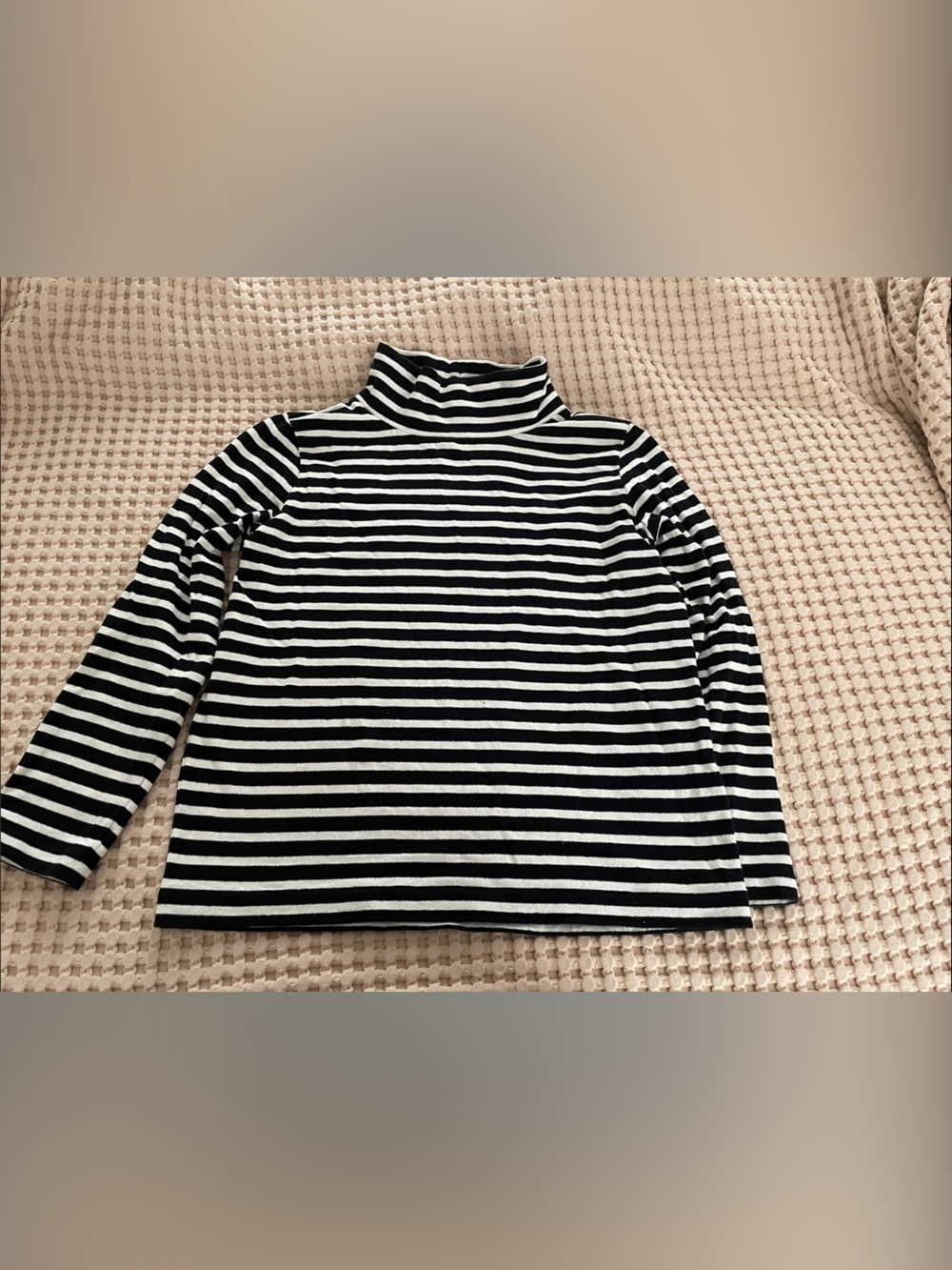 J. Crew Black and White Striped Turtleneck Top
